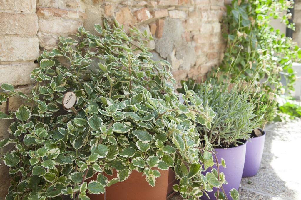 Break And Bed Bed and Breakfast Perugia Buitenkant foto