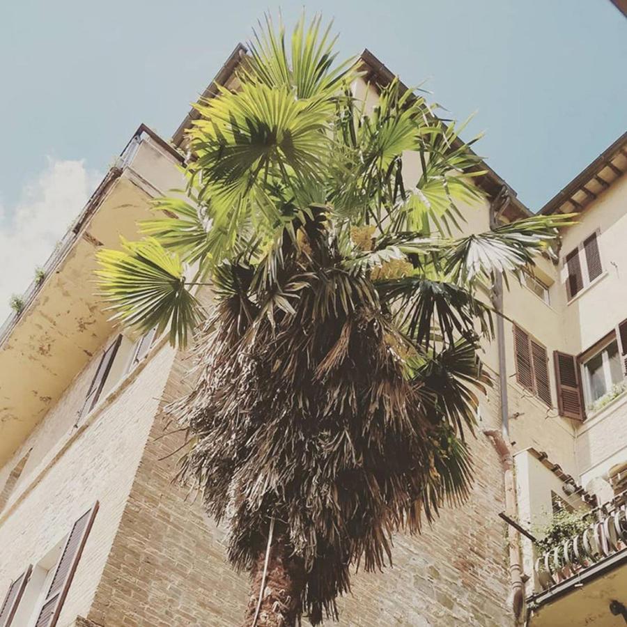 Break And Bed Bed and Breakfast Perugia Buitenkant foto
